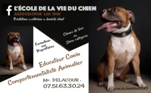logo Ecole de la vie du chien