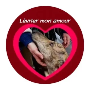 logo Levrier mon amour