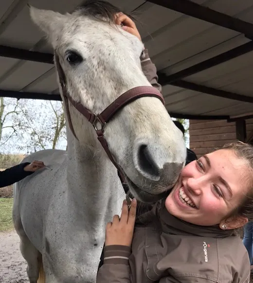 Cheval et étudiante