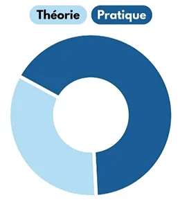 Répartition des parties théorie et pratique de la formation sur 5 ans