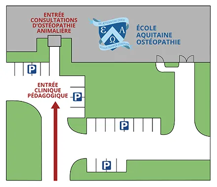 Plan d'accès à la clinique pédagogique avec situation des places de parking.