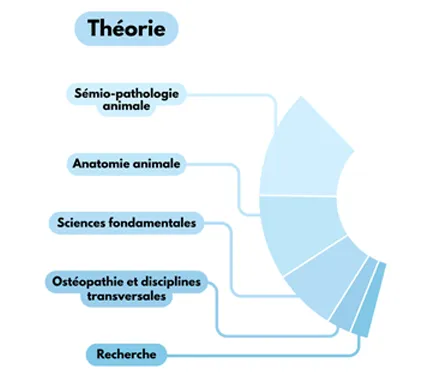 Répartition de la partie théorie de la formation sur 5 ans