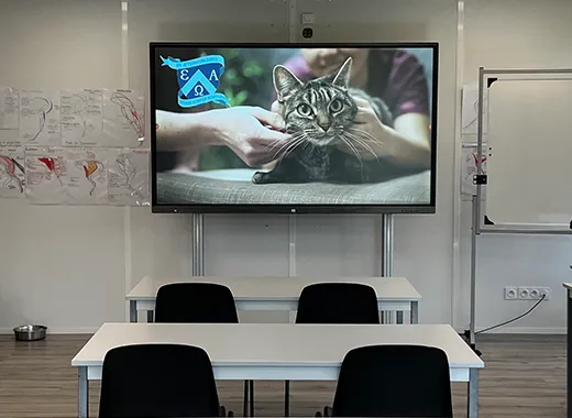 Salle de cours, toute équipée d’un écran connecté tactile et interactif, ainsi que du matériel pédagogique permettant à la fois de suivre des cours théoriques ou d’accueillir au sein des classes les animaux lors des cours pratiques